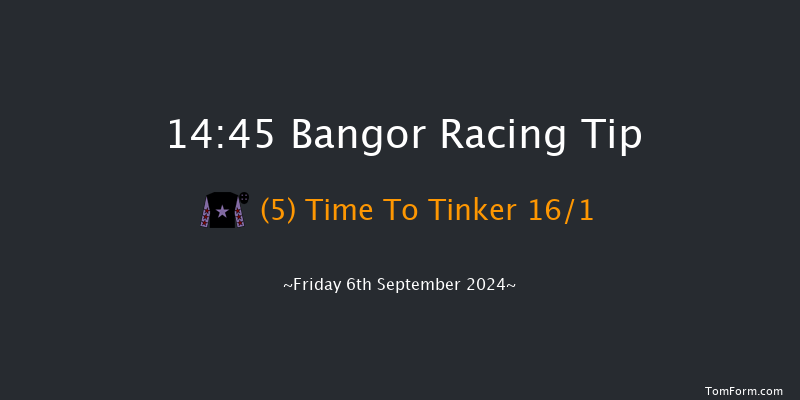 Bangor-on-dee  14:45 Handicap Hurdle (Class 5) 20f Fri 28th Jun 2024