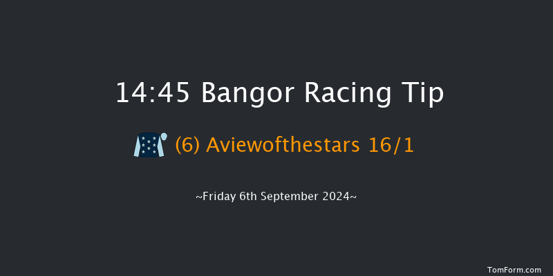 Bangor-on-dee  14:45 Handicap Hurdle (Class 5) 20f Fri 28th Jun 2024