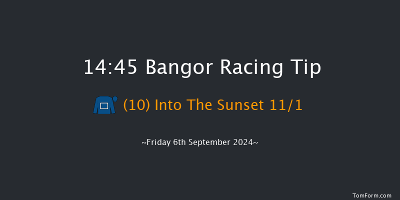 Bangor-on-dee  14:45 Handicap Hurdle (Class 5) 20f Fri 28th Jun 2024