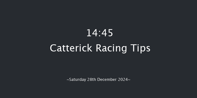 Catterick  14:45 Handicap Chase (Class 5) 25f Tue 17th Dec 2024