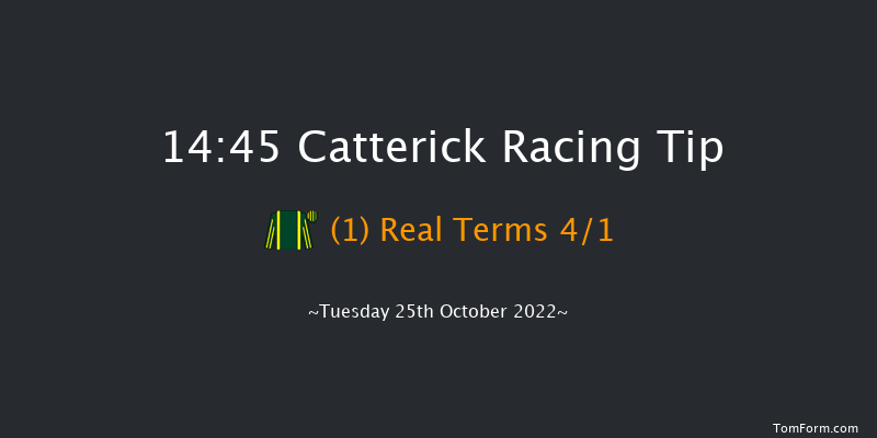 Catterick 14:45 Handicap (Class 4) 12f Sat 15th Oct 2022