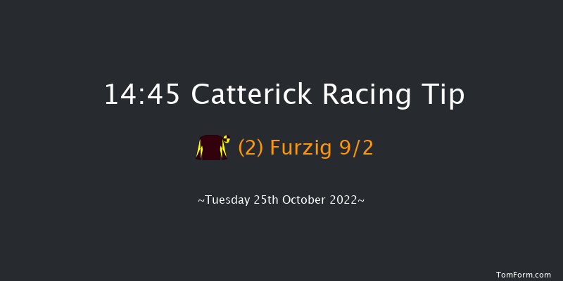 Catterick 14:45 Handicap (Class 4) 12f Sat 15th Oct 2022