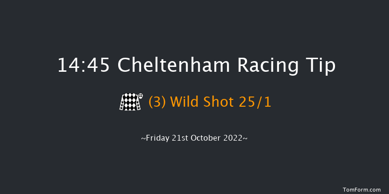 Cheltenham 14:45 Novices Hurdle (Class 2) 20f Fri 29th Apr 2022