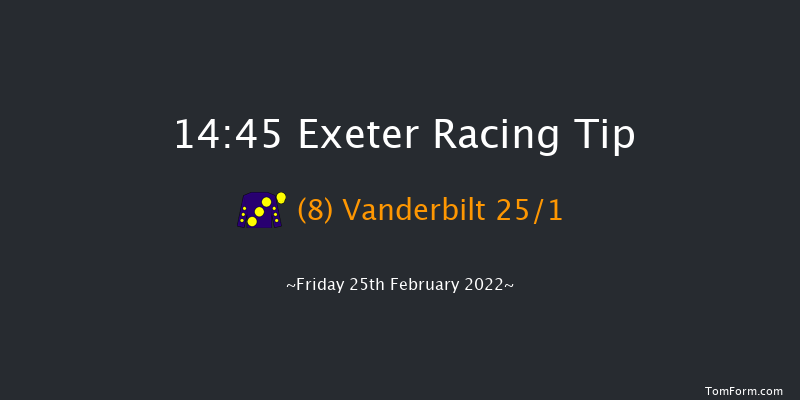 Exeter 14:45 Maiden Hurdle (Class 4) 17f Sun 13th Feb 2022