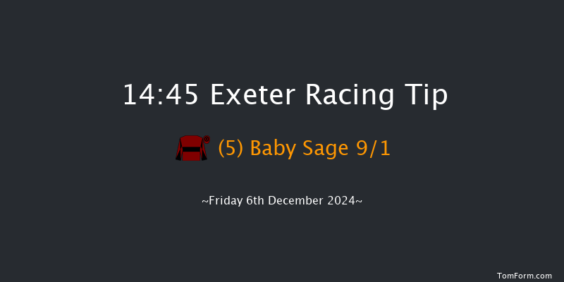 Exeter  14:45 Handicap Hurdle (Class 4) 22f Sun 24th Nov 2024