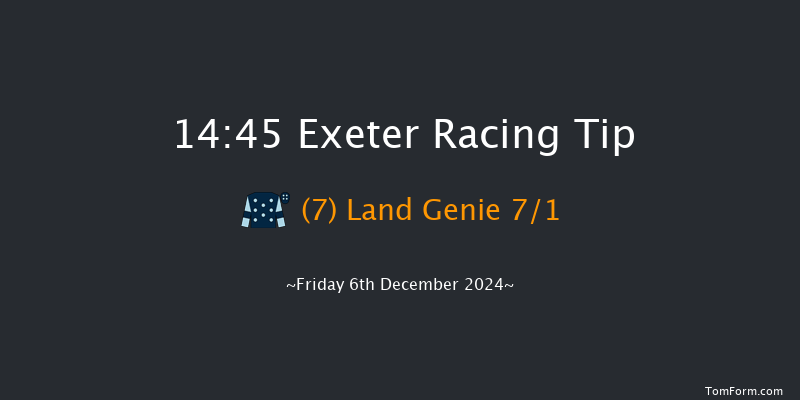 Exeter  14:45 Handicap Hurdle (Class 4) 22f Sun 24th Nov 2024