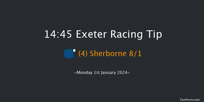 Exeter 14:45 Handicap Chase (Class 4) 24f Thu 21st Dec 2023