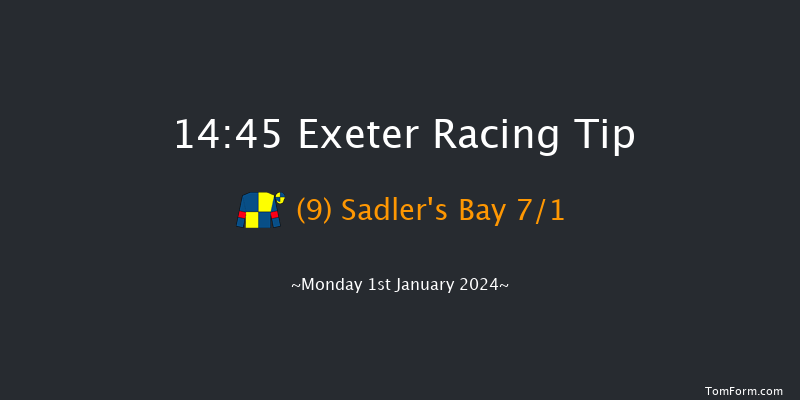 Exeter 14:45 Handicap Chase (Class 4) 24f Thu 21st Dec 2023