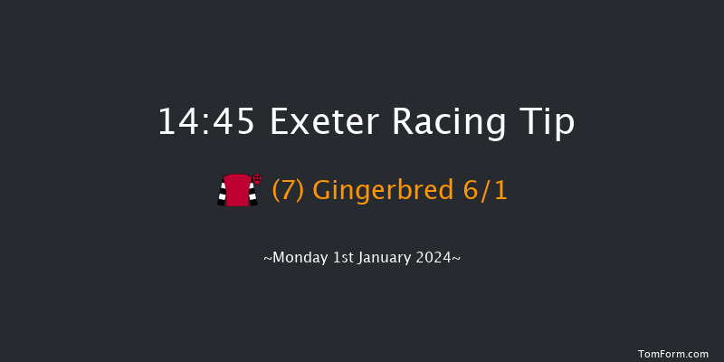 Exeter 14:45 Handicap Chase (Class 4) 24f Thu 21st Dec 2023