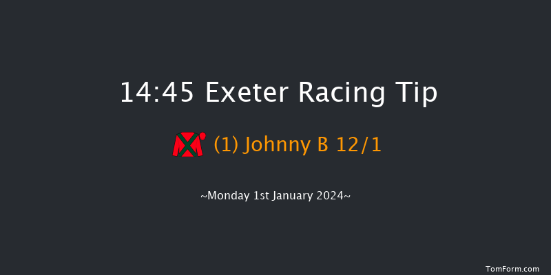 Exeter 14:45 Handicap Chase (Class 4) 24f Thu 21st Dec 2023