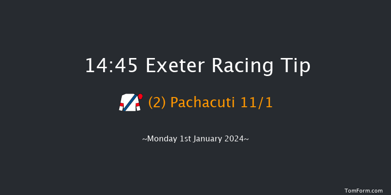 Exeter 14:45 Handicap Chase (Class 4) 24f Thu 21st Dec 2023