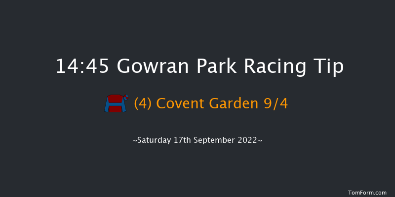 Gowran Park 14:45 Maiden 8f Wed 31st Aug 2022