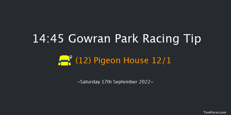 Gowran Park 14:45 Maiden 8f Wed 31st Aug 2022