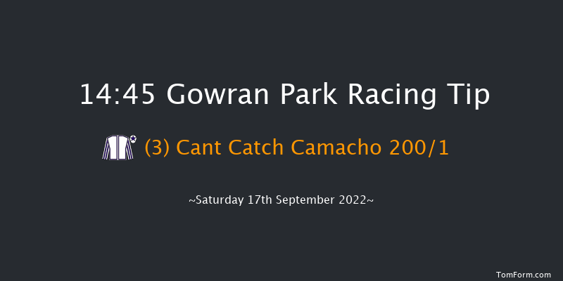 Gowran Park 14:45 Maiden 8f Wed 31st Aug 2022