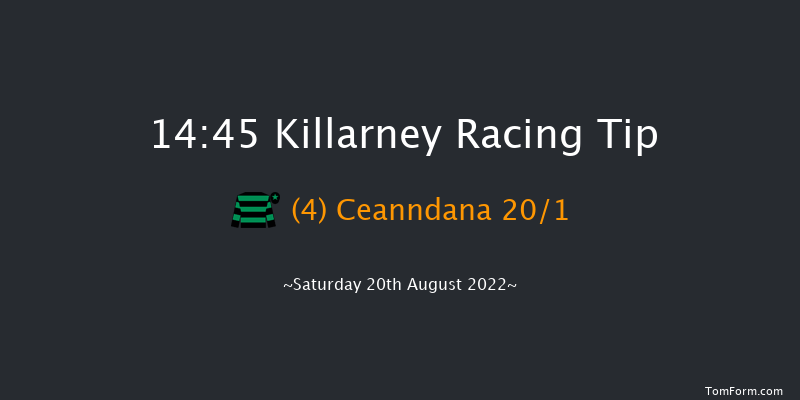 Killarney 14:45 Handicap Hurdle 20f Fri 19th Aug 2022