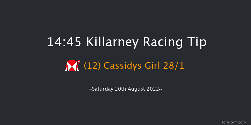 Killarney 14:45 Handicap Hurdle 20f Fri 19th Aug 2022