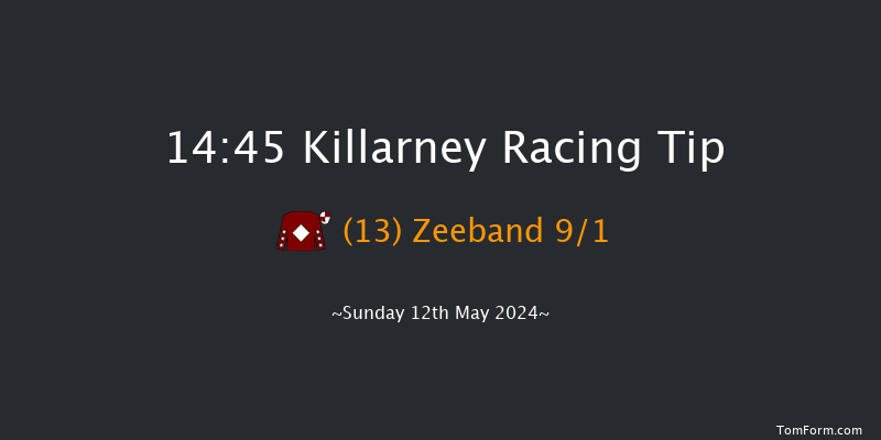 Killarney  14:45 Handicap Hurdle 17f Sun 1st Oct 2023