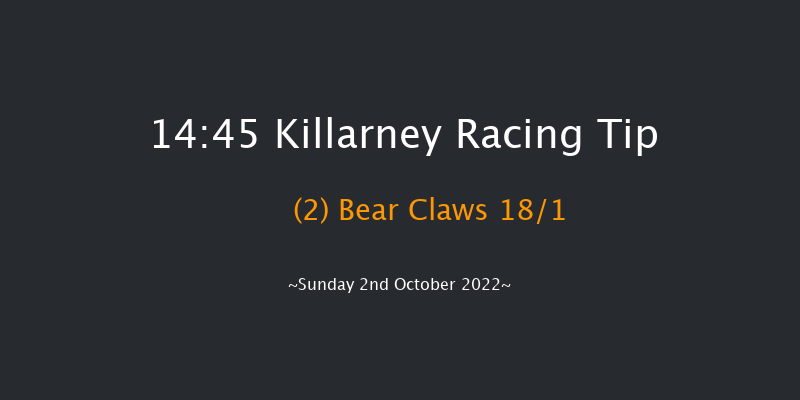 Killarney 14:45 Handicap Hurdle 23f Sat 1st Oct 2022