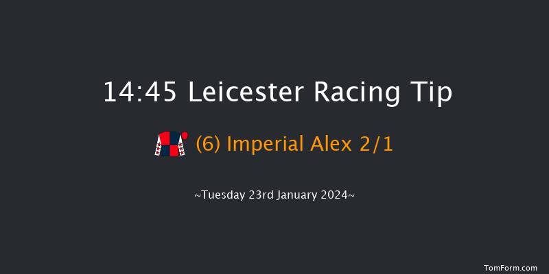 Leicester 14:45 Handicap
Chase (Class 5) 23f Wed 10th Jan 2024