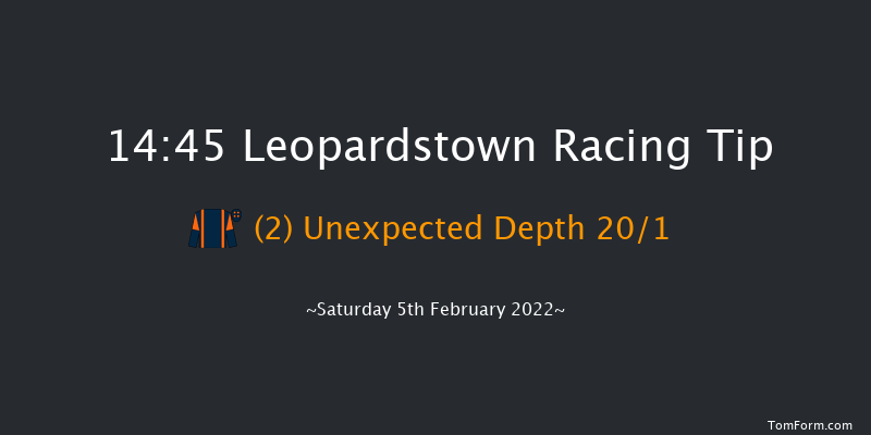 Leopardstown 14:45 Handicap Hurdle 24f Wed 29th Dec 2021