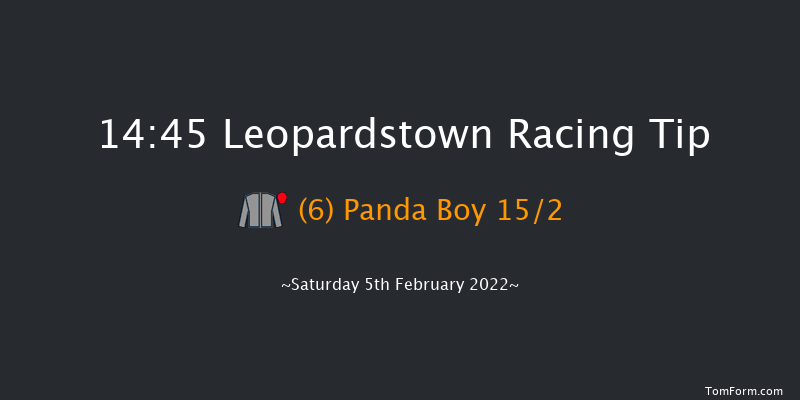 Leopardstown 14:45 Handicap Hurdle 24f Wed 29th Dec 2021