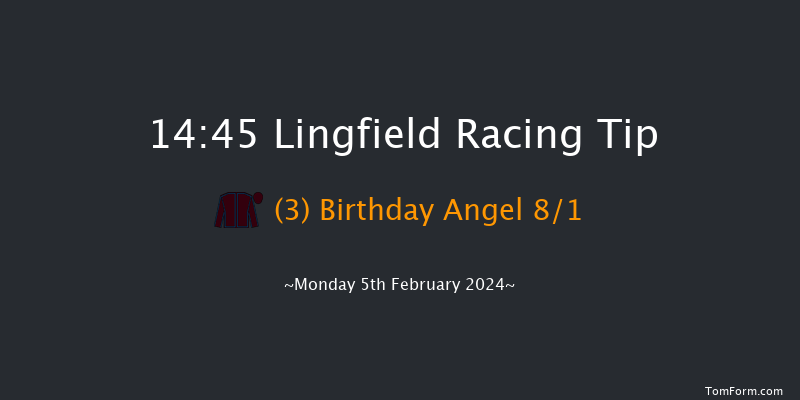 Lingfield  14:45 Stakes (Class 4) 12f Sun 4th Feb 2024