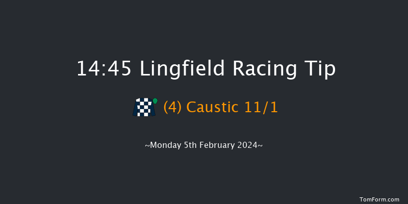 Lingfield  14:45 Stakes (Class 4) 12f Sun 4th Feb 2024