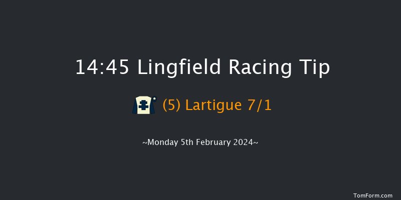 Lingfield  14:45 Stakes (Class 4) 12f Sun 4th Feb 2024