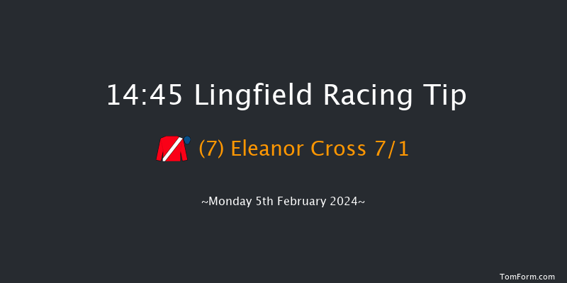 Lingfield  14:45 Stakes (Class 4) 12f Sun 4th Feb 2024