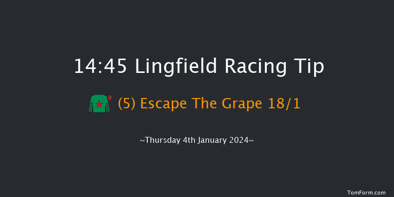 Lingfield 14:45 Stakes (Class 5) 8f Sun 31st Dec 2023