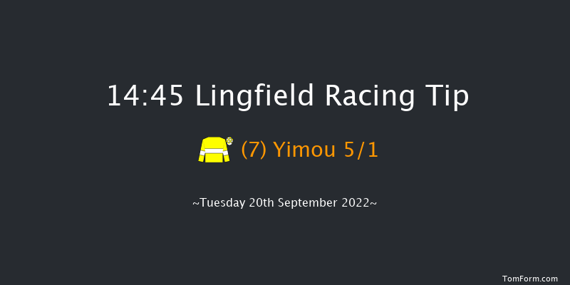 Lingfield 14:45 Handicap (Class 5) 6f Wed 31st Aug 2022