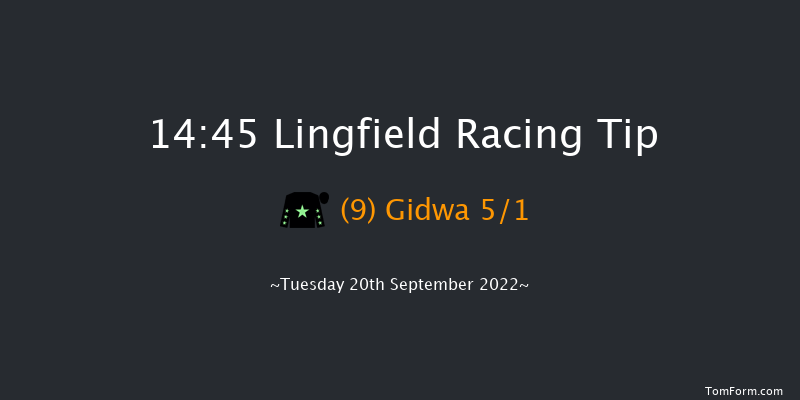 Lingfield 14:45 Handicap (Class 5) 6f Wed 31st Aug 2022