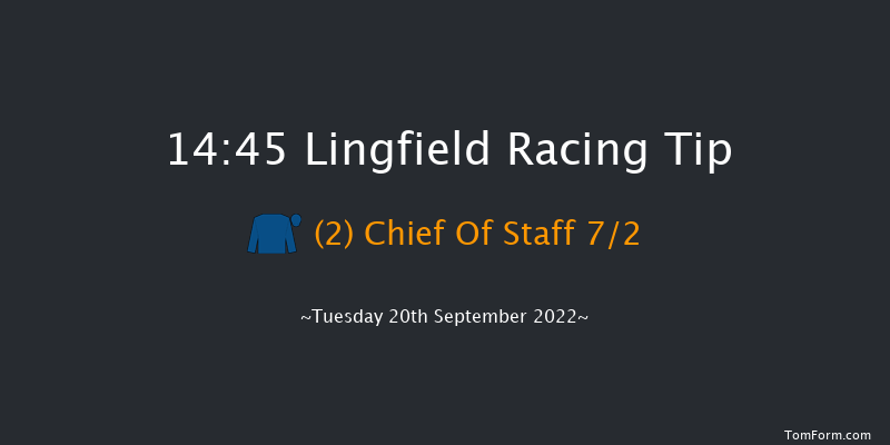 Lingfield 14:45 Handicap (Class 5) 6f Wed 31st Aug 2022