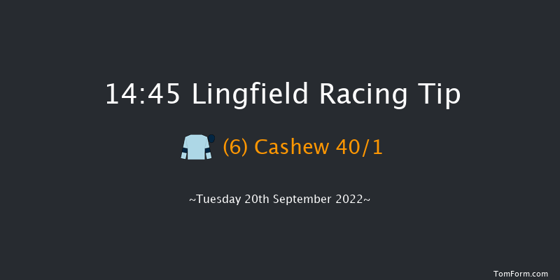 Lingfield 14:45 Handicap (Class 5) 6f Wed 31st Aug 2022