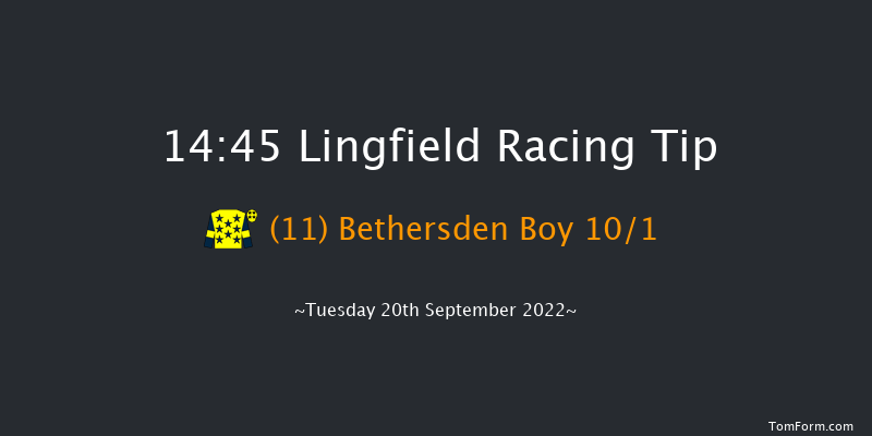 Lingfield 14:45 Handicap (Class 5) 6f Wed 31st Aug 2022