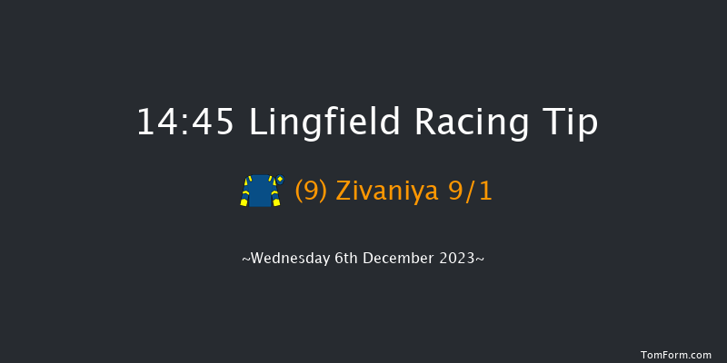 Lingfield 14:45 Handicap (Class 6) 12f Tue 5th Dec 2023