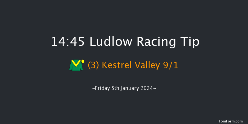 Ludlow 14:45 Handicap Chase (Class 3) 26f Wed 20th Dec 2023