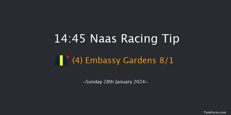 Naas  14:45 Novices Chase 25f Fri 12th Jan 2024