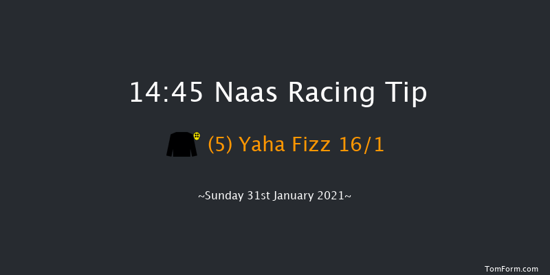 Celebrating The 2020 ITBA Award Winners Handicap Hurdle Naas 14:45 Handicap Hurdle 16f Wed 13th Jan 2021