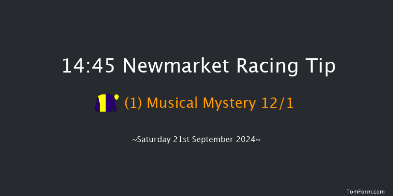 Newmarket  14:45 Handicap (Class 4) 7f Sat 24th Aug 2024