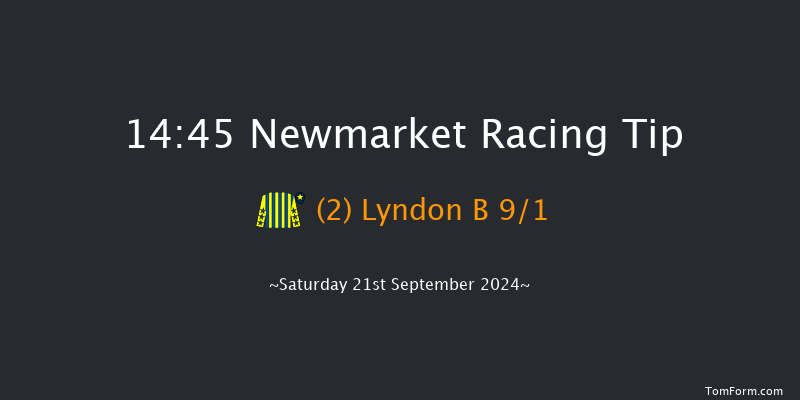 Newmarket  14:45 Handicap (Class 4) 7f Sat 24th Aug 2024