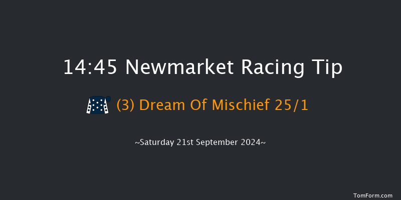 Newmarket  14:45 Handicap (Class 4) 7f Sat 24th Aug 2024