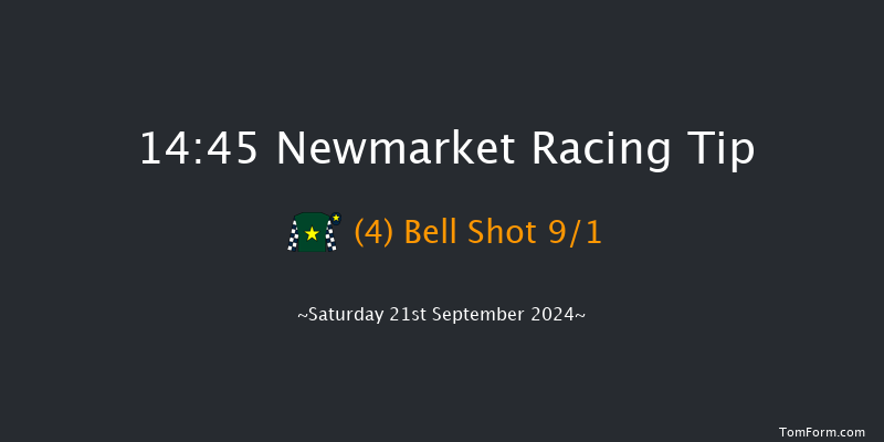 Newmarket  14:45 Handicap (Class 4) 7f Sat 24th Aug 2024