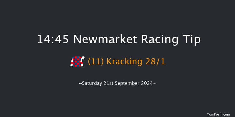 Newmarket  14:45 Handicap (Class 4) 7f Sat 24th Aug 2024