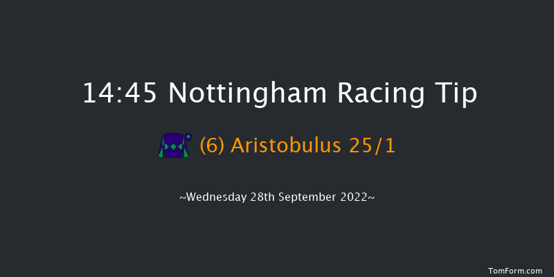 Nottingham 14:45 Handicap (Class 2) 6f Tue 9th Aug 2022