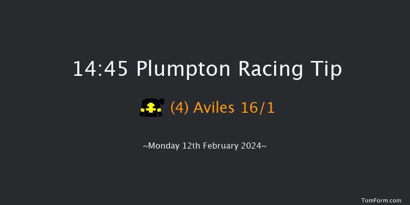 Plumpton  14:45 Handicap Chase (Class 4)
17f Mon 29th Jan 2024