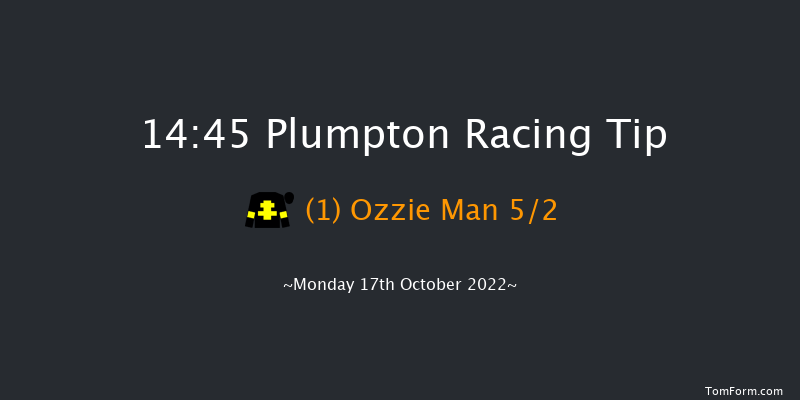 Plumpton 14:45 Handicap Chase (Class 5) 20f Sun 18th Sep 2022