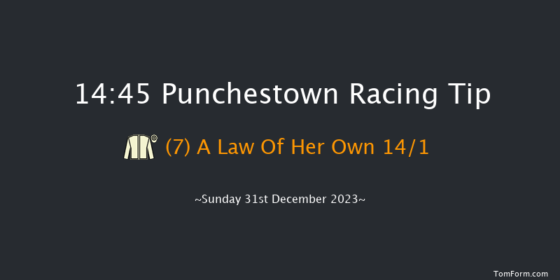 Punchestown 14:45 Handicap Hurdle 19f Tue 12th Dec 2023