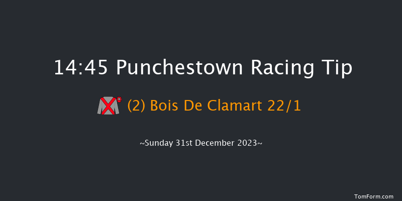 Punchestown 14:45 Handicap Hurdle 19f Tue 12th Dec 2023