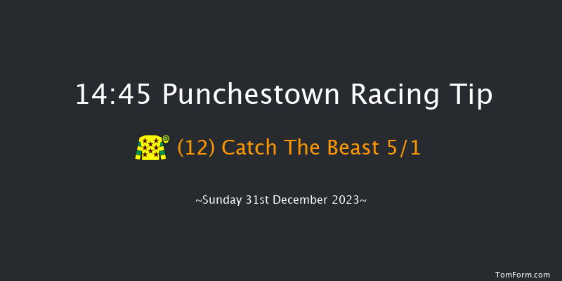 Punchestown 14:45 Handicap Hurdle 19f Tue 12th Dec 2023